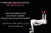 Dumbbell upper chest press neutral grip/پرس سینه با دمبل دست موازی